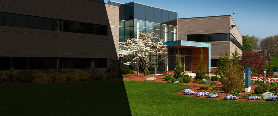 Bradley Beach Landscapers