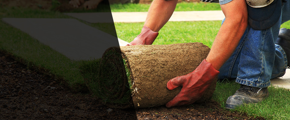 Bradley Beach Landscapers